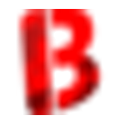 BloodyCase logo